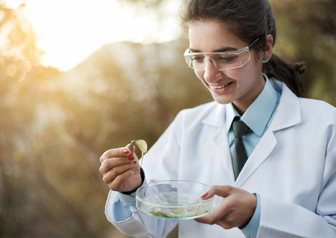 Daily health supplements to support active lifestyle