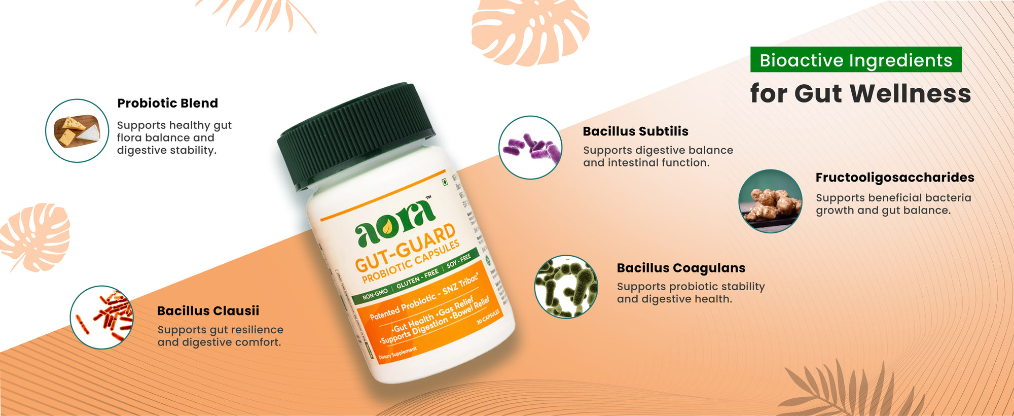 Aora Gut-Guard probiotic capsules supplement for gut balance