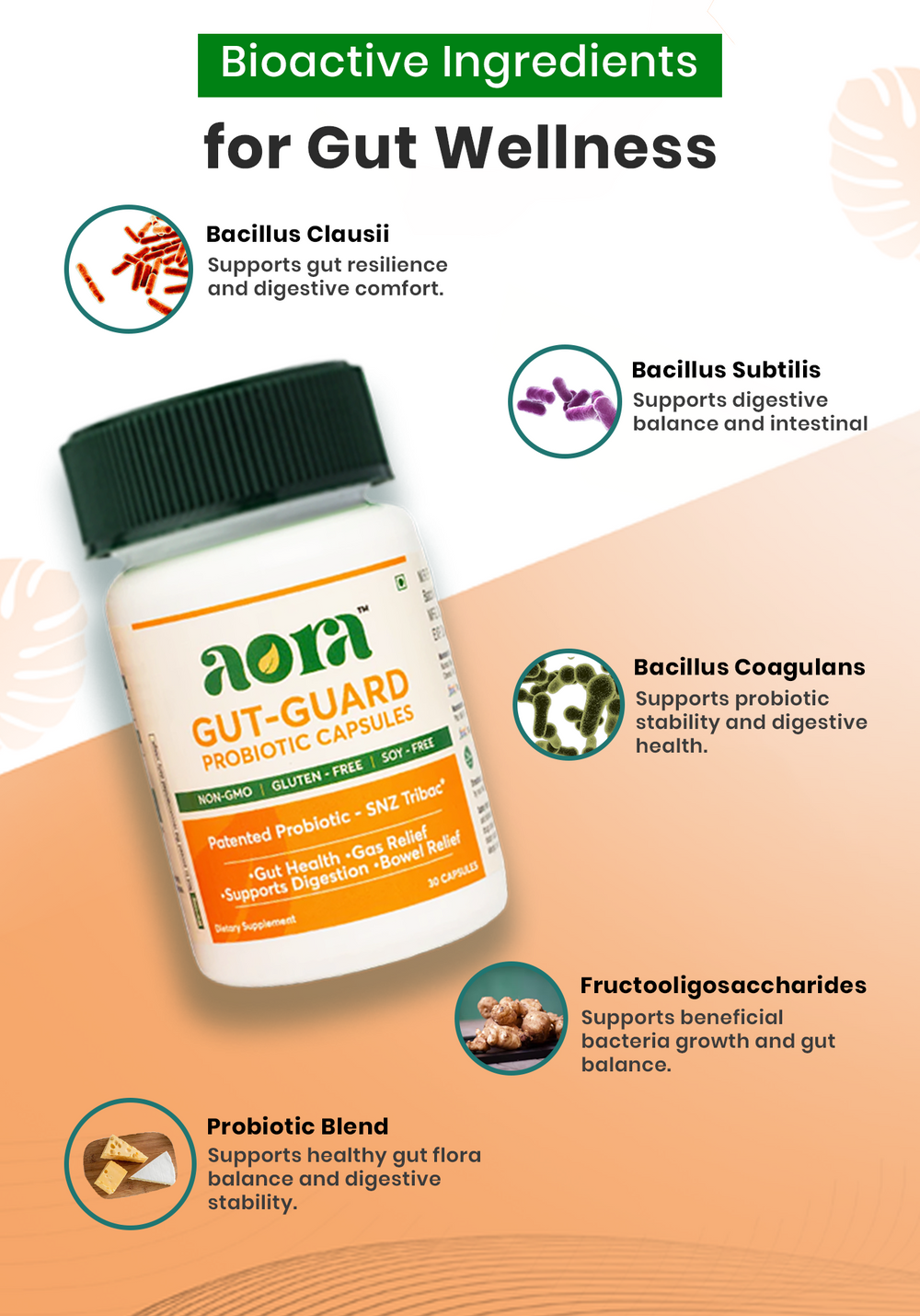 Best probiotic capsules Aora Gut-Guard for daily digestion
