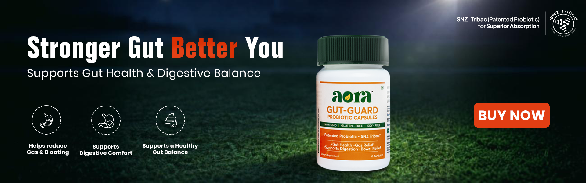 Gut health supplements for digestion and daily wellness support